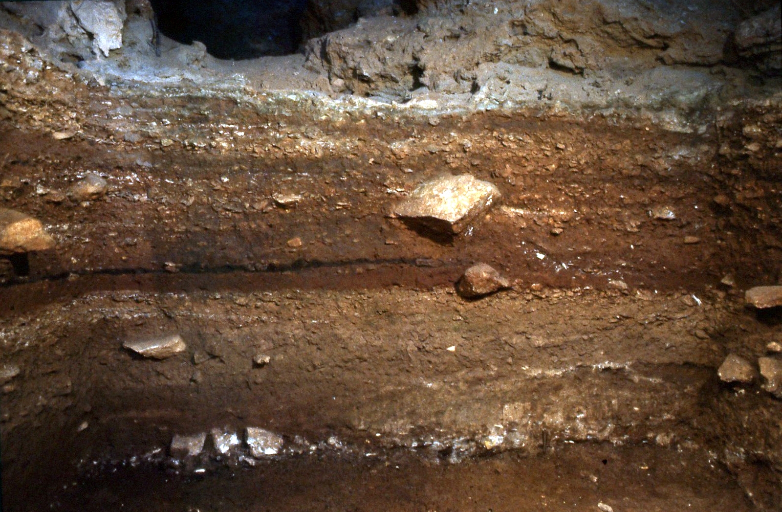 Grotta del Cavallo_stratigrafia1